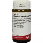 Rhus Toxicodendron E Foliis D12 - GLOBULI 20 GR