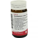 Sarothamnus Comp. - GLOBULI 20 GR