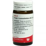 Thuja E Summitatibus D4 - GLOBULI 20 GR