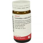 Tormentilla E Radice D6 - GLOBULI 20 GR