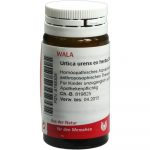 Urtica Urens EX Herba D6 Globuli 20 GR