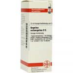 Angelica archangelica D 6 Diluizione 20 ml