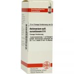 Antimonium sulfuratum Aurantiacum D 6 dilution 20 ml
