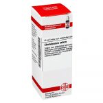 Chelidonium Extern 20 ml