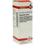 Hamamelis Extern Tintura 20 ml