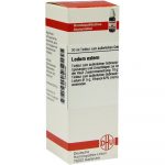 Ledum Extern Tintura 20ml