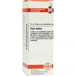 Ruta Extern Extrakt tintura 20 ml
