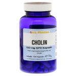 Cholin (colina) 100 mg 120 capsule