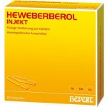 Heweberberol injekt 100 fiale da 2 ml