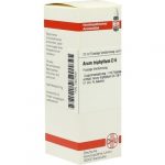 Arum Triphyllum D6 confezione da 20 ml