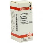 Asparagus Officinalis D6 confezione da 10gr