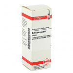 Bellis Perennis Tintura Madre confezione da 20ml