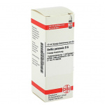 Bellis Perennis D6 confezione da 20ml