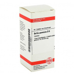 Bellis Perennis D6 confezione da 80 compresse