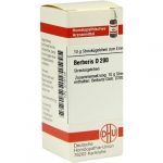 Berberis D200 confezione da 10gr