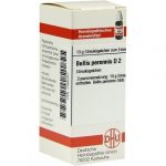 Bellis Perennis D2 confezione da 10gr