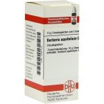 Berberis Aquifolium D6 confezione da 10gr