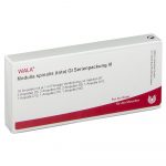 Medulla spinalis (tota) Gl Serie II - FIALE 10 X 1 ML