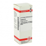 Cactus D6 confezione da 20 ml