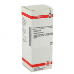 Cactus D4 confezione da 50ml