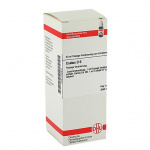 Cactus D6 confezione da 50ml