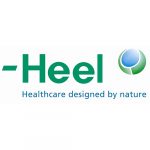 Acertylcholinchlorid Injeel- FIALE 100 X 1,1 ML