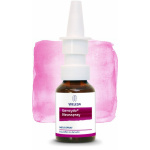 GENCYDO 1% soluzione spray nasale confezione da 20 ml