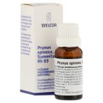 PRUNUS SPINOSA SUMMITATES Rh D3   confezione da 20ml