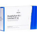 Bryophyllum 5% 8X1 ml fiale