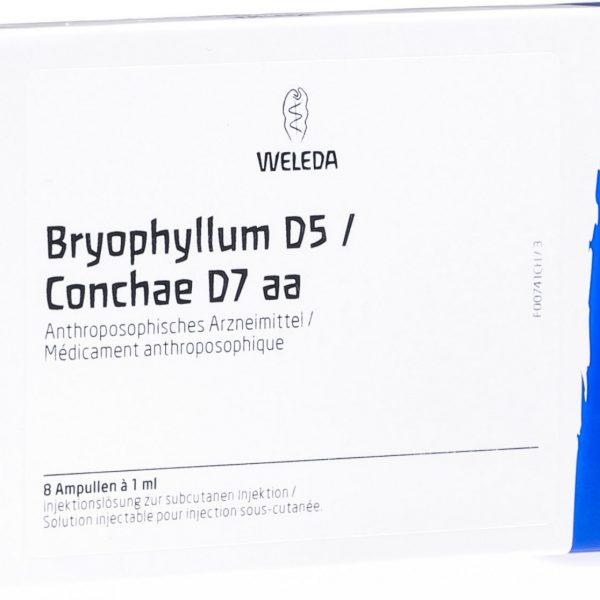 Bryophyllum 5% 8X1 ml fiale