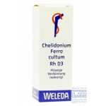 Chelidonium Ferro cultum Rh D3 20 ml