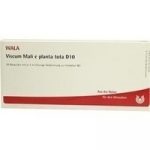 Viscum Mali e planta tota D10 FIALE 10 X 1 ML
