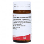 Viscum Mali e planta tota D6 globuli confezione da 20 GR