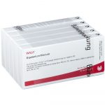 EQUISETUM / VISCUM - FIALE 50 X 1 ML