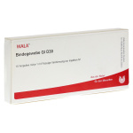 BINDEGEWEBE GL D30 - FIALE 10 X 1 ML