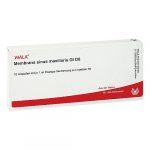 MEMBRANA SINUS MAXILLARIS GL D6  - FIALE10 X 1 ML