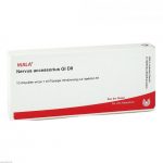 NERVUS ACCESSORIUS GL D8  - FIALE 10 X 1 ML
