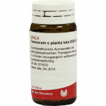 Taraxacum e planta tota D30 - GLOBULI 20 GR