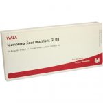 MEMBRANA SINUS MAXILLARIS GL D8  -  FIALE 10 X 1 ML