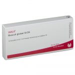 MUSCULI GLUTAEI GL D5  - FIALE 10 X 1 ML