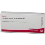 NERVUS LARYNGEUS RECCURENS GL D12  - FIALE 10 X 1 ML
