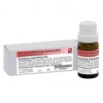 ECHINACEA ANGUSTIFOLIA D30  -  globuli 10g