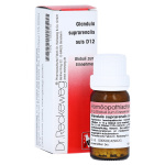 GLANDULA SUPRARENALIS SUIS D12  -  globuli 10g