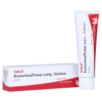 ROSMARINUS / PRUNUS COMP. GEL  -  30 GR