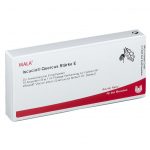 ISCUCIN QUERCUS STÄRKE E  - FIALE 10 X 1 ML