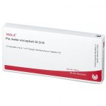 PIA MATER ENCEPHALI GL D15  -  FIALE 10 X 1 ML