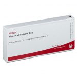 PLACENTA (BOVIS) GL D12  - FIALE 10 X 1 ML