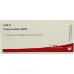 PLEXUS LUMBALIS GL D8  -FIALE 10 X 1 ML