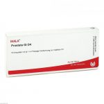PROSTATA GL D4  - FIALE 10 X 1 ML