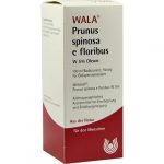 PRUNUS SPINOSA E FLORIBUS W.5% OLEUM  -  100 ML